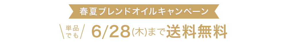 単品でも6/28(木)まで送料無料