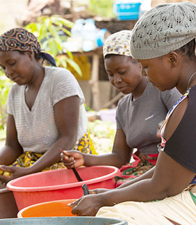 マルラの実を収穫しているアフリカの女性