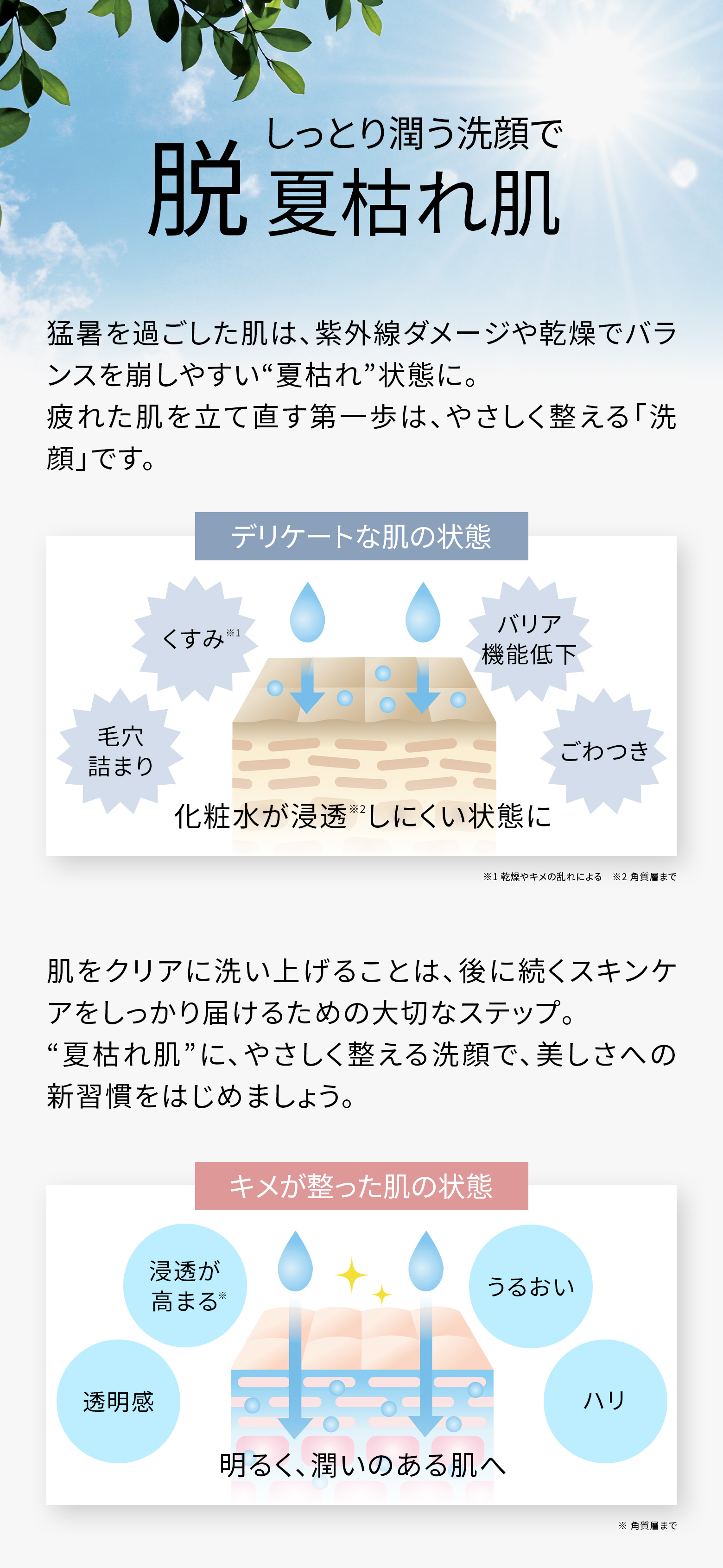 しっとり潤う洗顔で脱夏枯れ肌！猛暑を過ごした肌は、紫外線ダメージや乾燥でバランスを崩しやすい“夏枯れ”状態に。疲れた肌を立て直す第一歩は、やさしく整える「洗顔」です。肌をクリアに洗い上げることは、後に続くスキンケアをしっかり届けるための大切なステップ。“夏枯れ肌”に、やさしく整える洗顔で、美しさへの新習慣をはじめましょう。