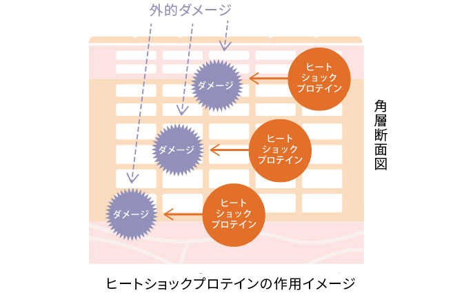 テクスチャーイメージ