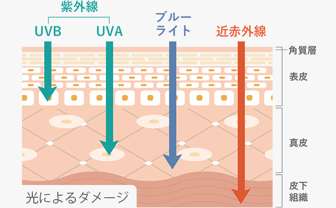 テクスチャーイメージ