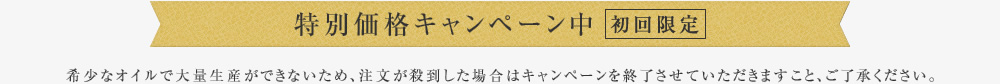 特別価格キャンペーン中